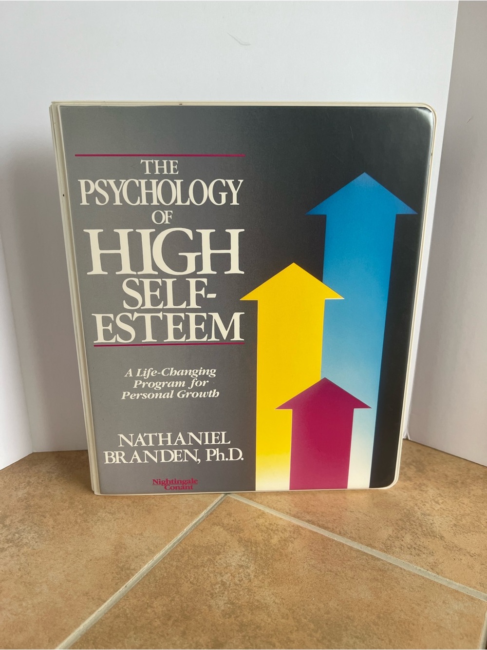 The Psychology of High Self-Esteem Audiobook Cassette by Nathaniel Branden